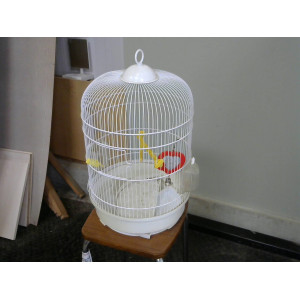 Cage à oiseaux